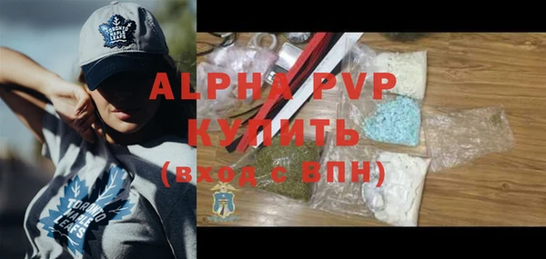 крисы Новодвинск