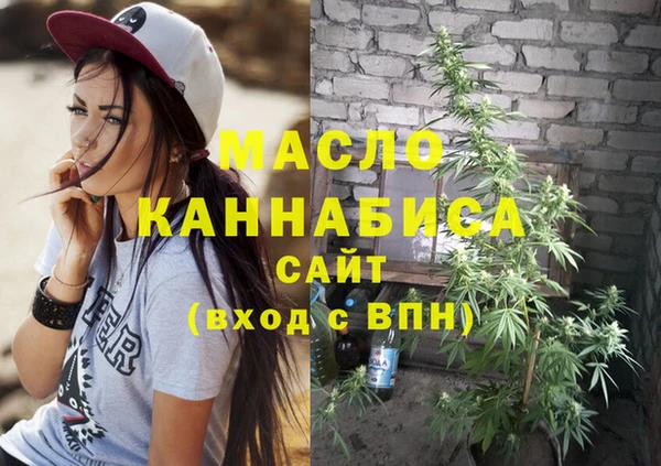 первитин Новозыбков