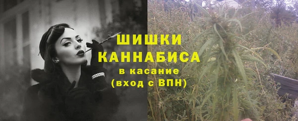 первитин Новозыбков