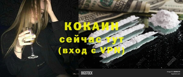 крисы Новодвинск
