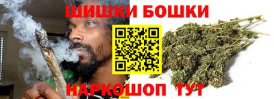 spice Гай