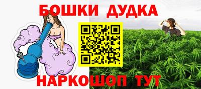 spice Гай