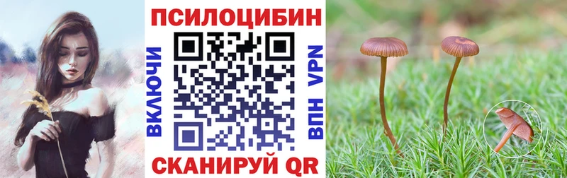 Галлюциногенные грибы прущие грибы  MEGA ссылки  Красный Сулин 