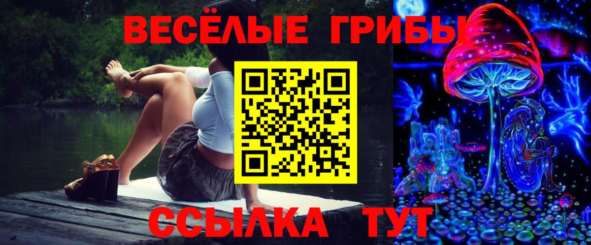 Красный Сулин  Галлюциногенные грибы Magic Shrooms  Вход с VPN  Галлюциногенные грибы Psilocybine cubensis 